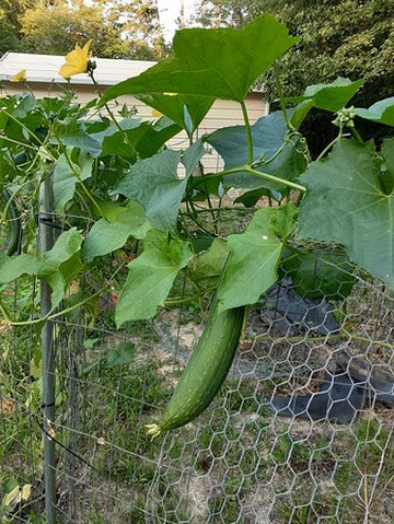 Nourish-萨凡纳必去景点