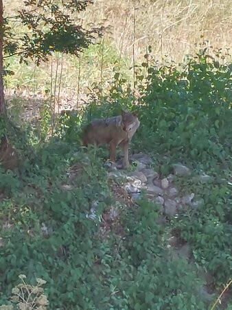 Albergo Ai 4 Camosci主图