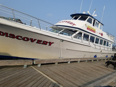 Alaska Coastal Marine Tours-荷马必去景点