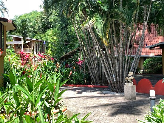 Hotel Flying Crocodile主图