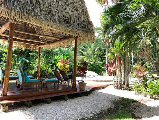 Hotel Flying Crocodile主图