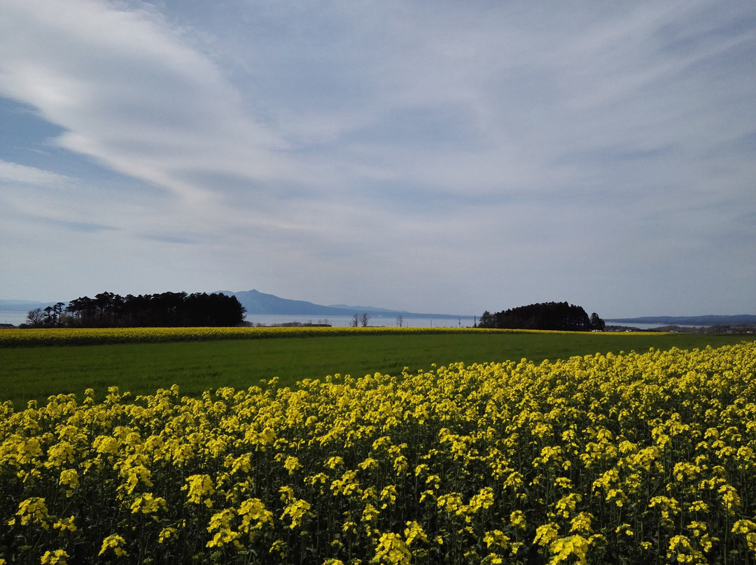 横滨町旅游攻略图片