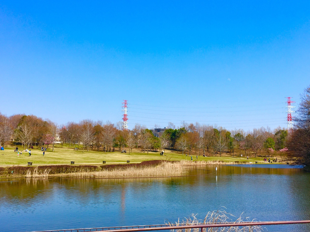 印西市旅游攻略图片