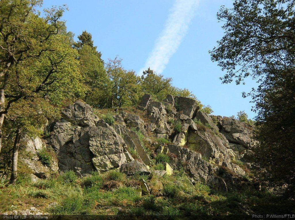 Reserve Naturelle de la Roche a l'Appel景点图片
