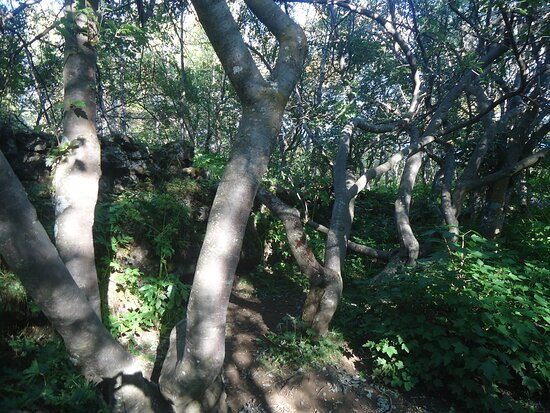 Hofdi-米湖必去景点