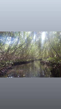 Get Up Stand Up-Morne-A-l'Eau必去景点