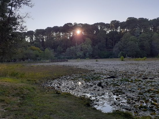 Parque Saval-瓦尔迪维亚必去景点