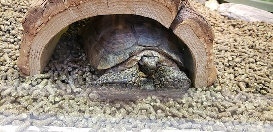 SMUD Museum of Science and Curiosity-沙加缅度必去景点