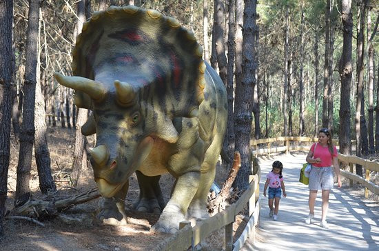 Dino Parque景点图片