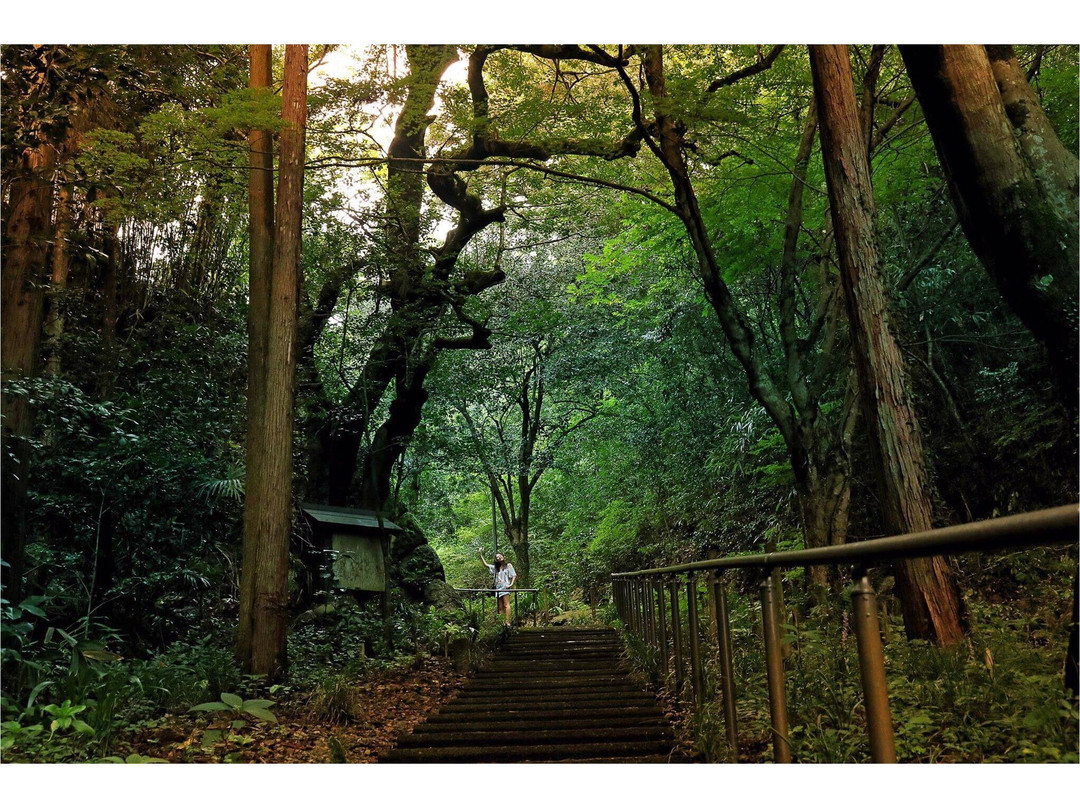 Kiyomizudera Temple-富加町必去景点