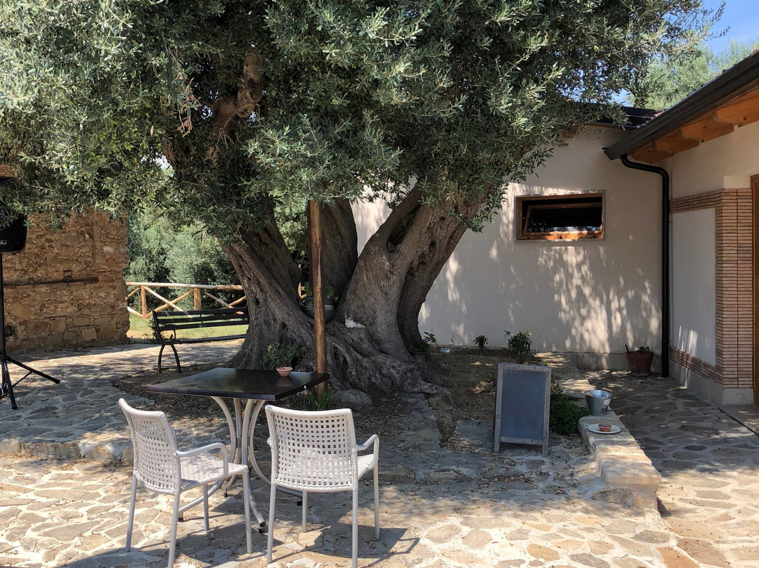 Torretta餐馆和美食-Agriturismo Silipetto