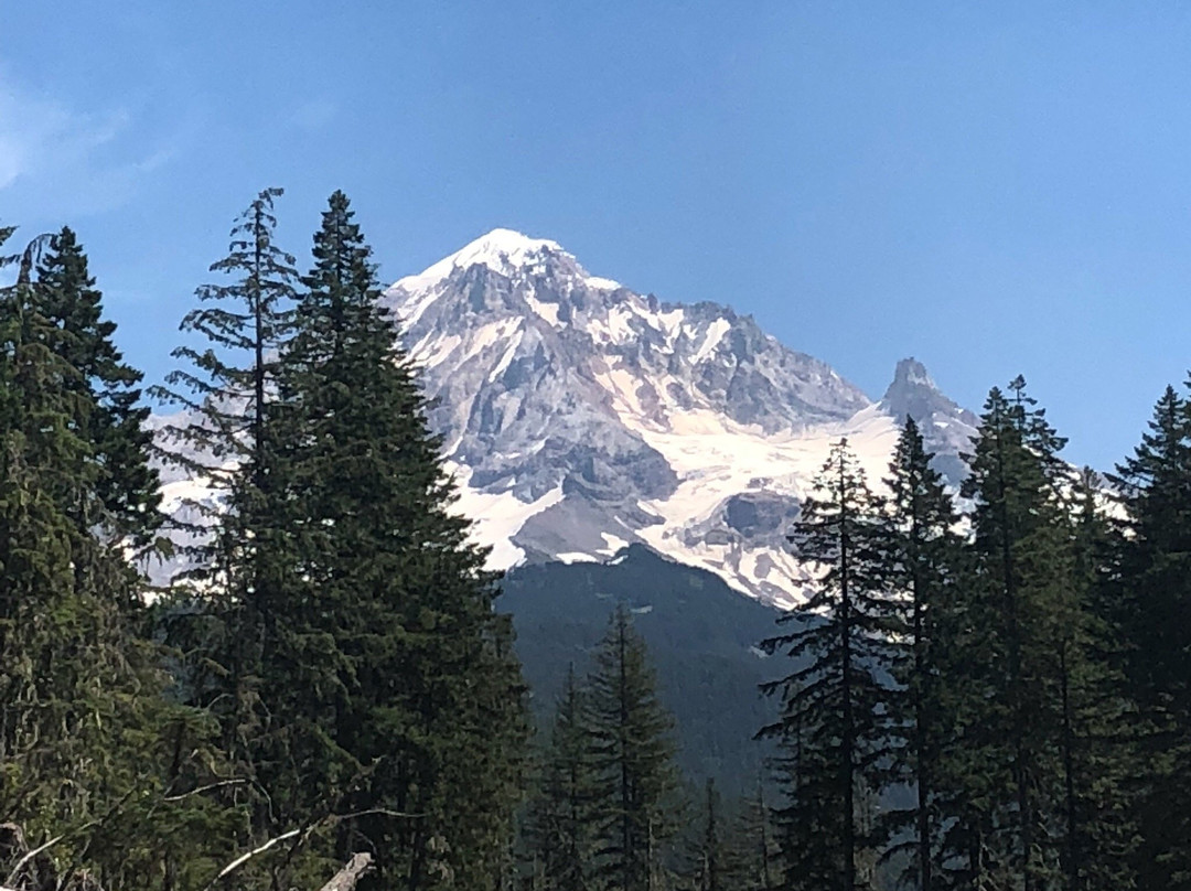 Rhododendron旅游攻略图片
