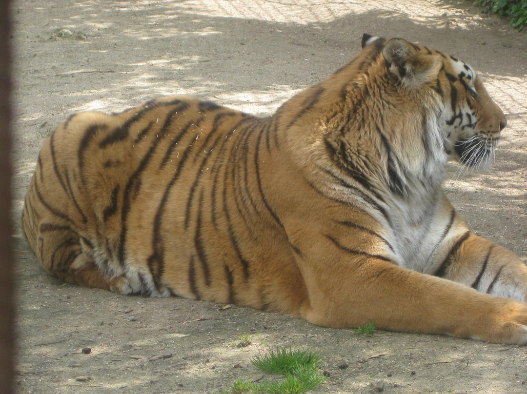 La Mailleraye-sur-Seine旅游攻略图片