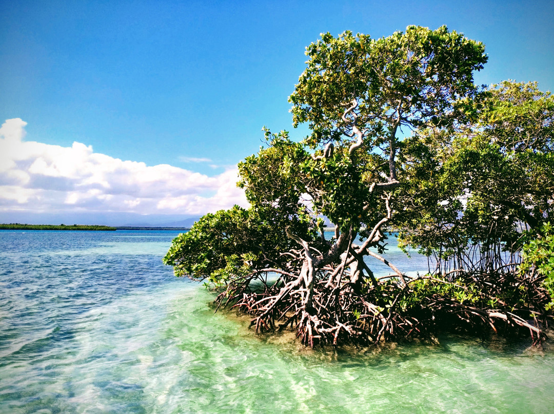 Nico Excursions-Sainte Rose必去景点