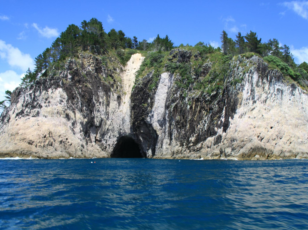 Cathedral Cove Scenic Cruises-菲蒂昂格必去景点