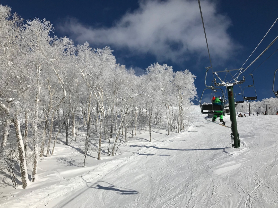 Niseko Winterlab景点图片