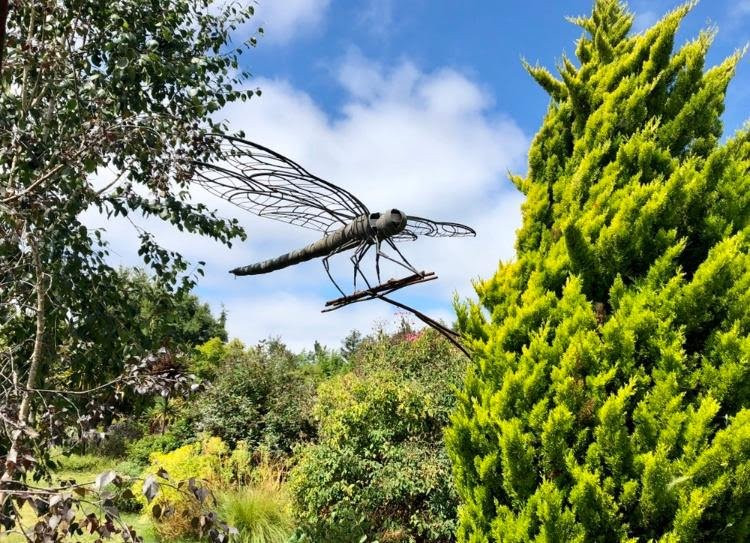Sierra Azul Nursery & Garden-null必去景点
