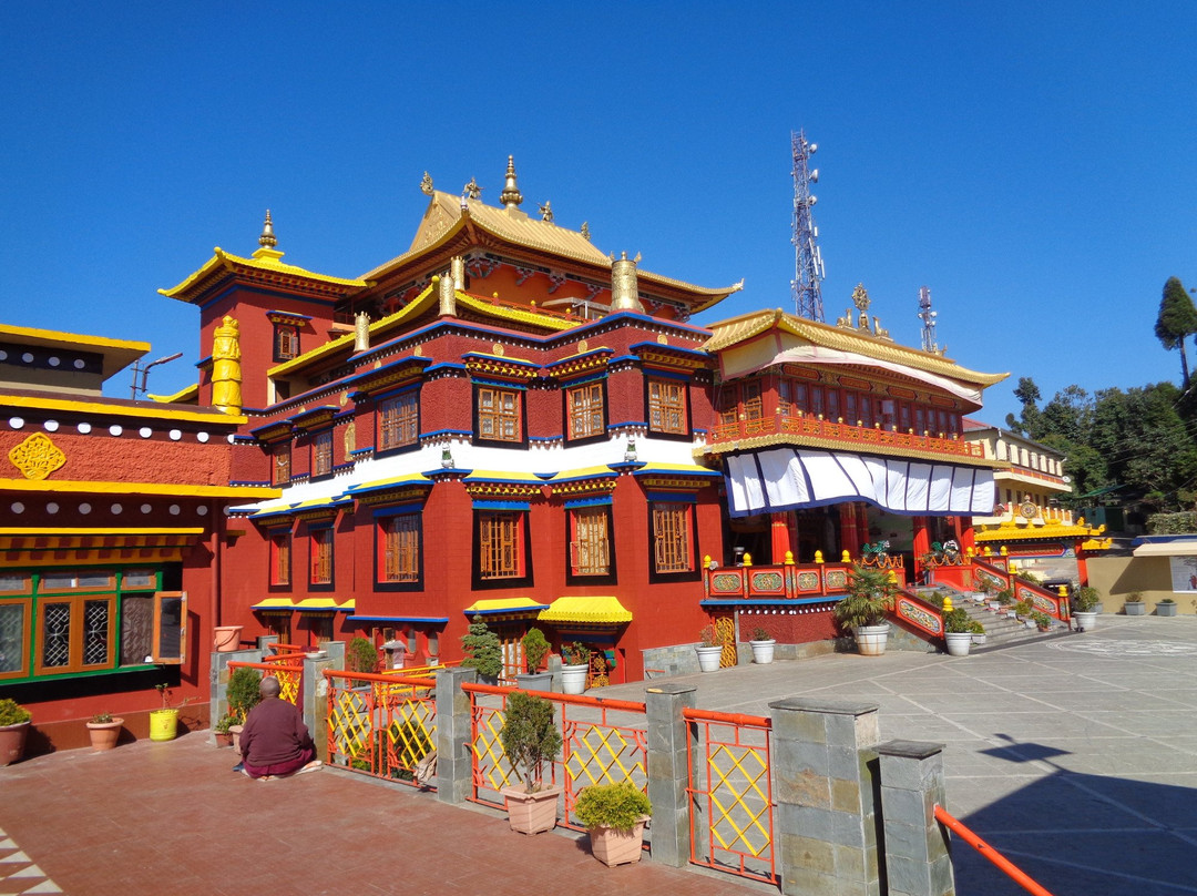 Bokar Ngedon Chokhor Ling Monastery景点图片