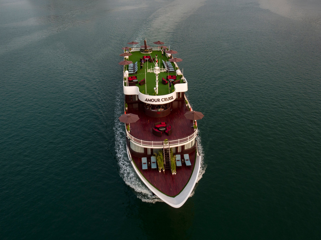 Amour Cruise