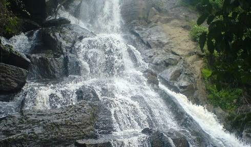 Chethalayam Falls景点图片