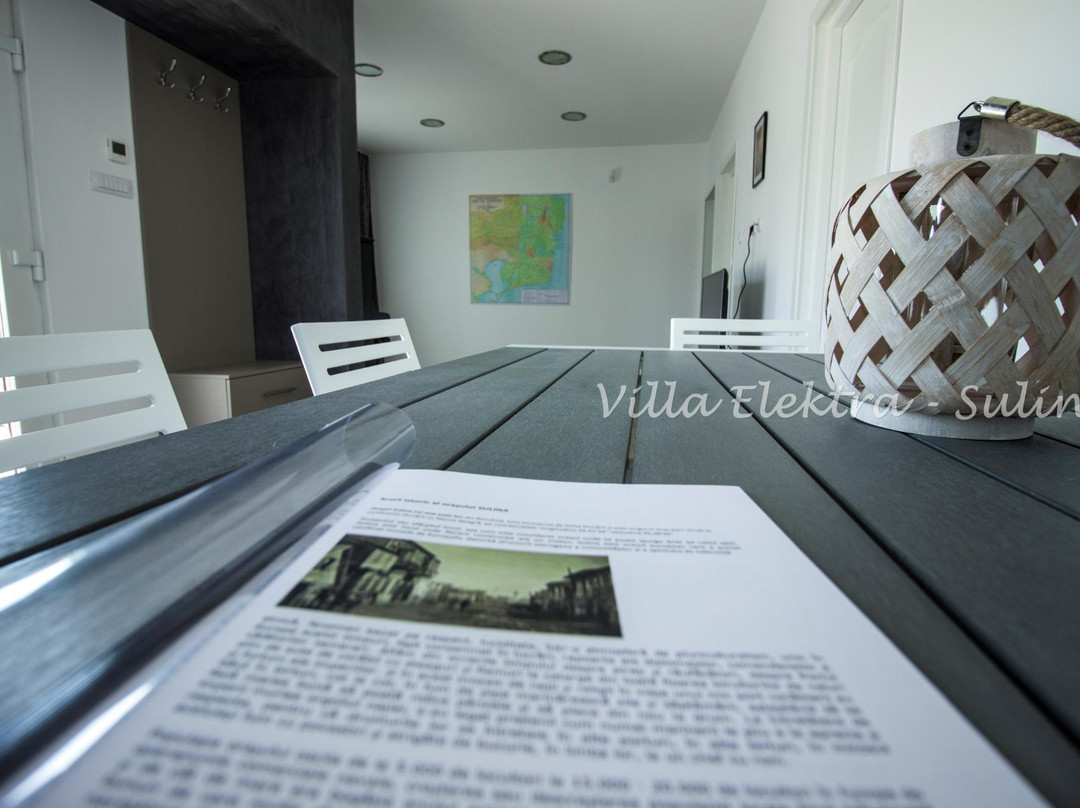 Elektra Sulina主图