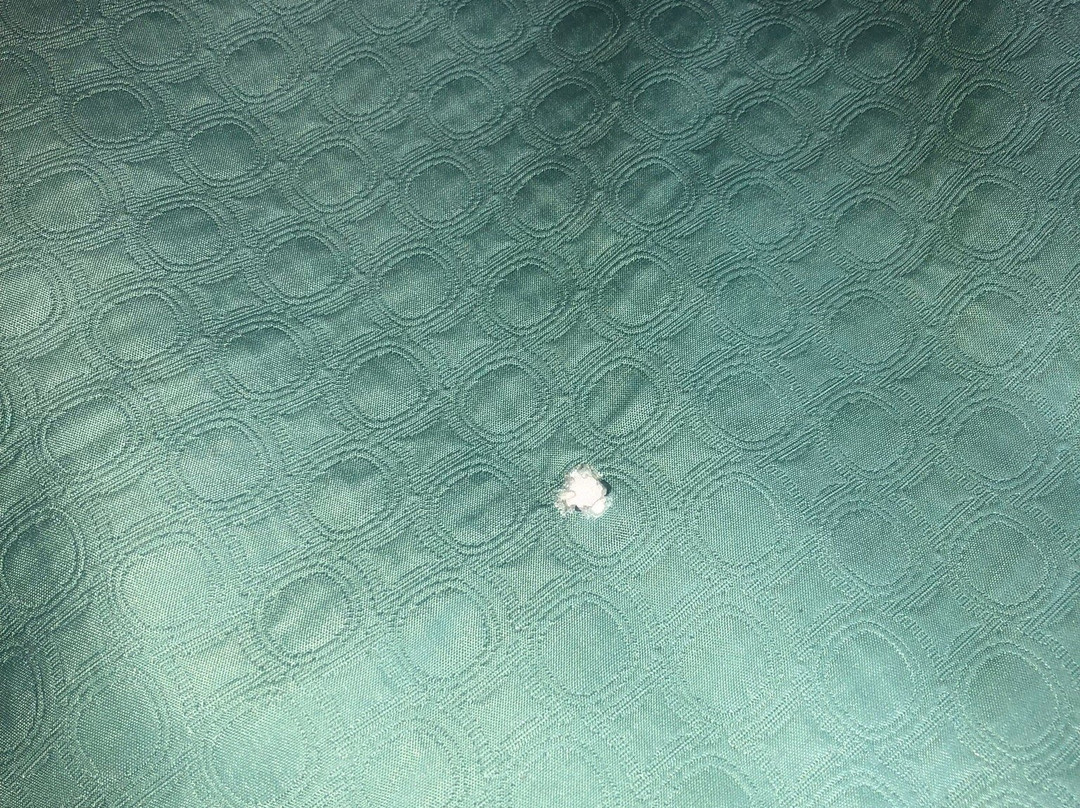 Super 8 by Wyndham Russellville主图