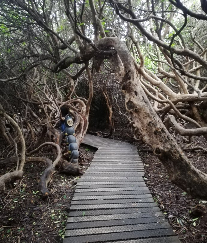 Beacon Hill Country Park景点图片