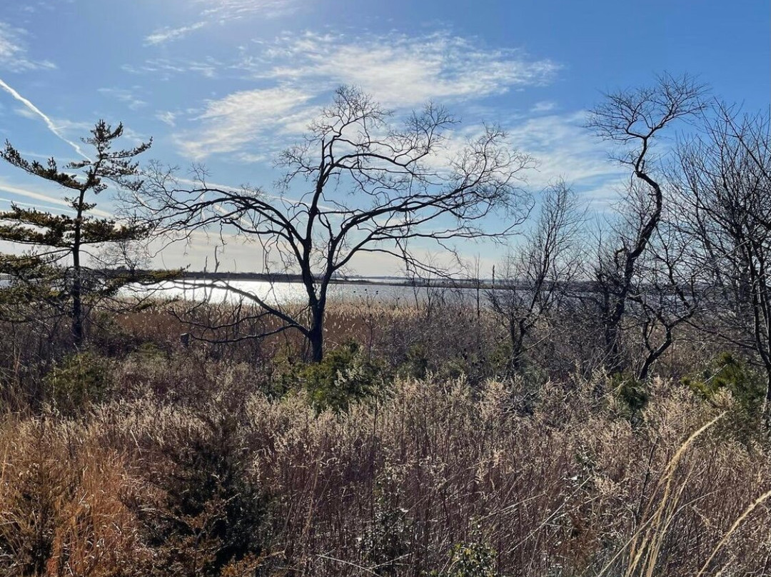 Jamaica Bay Wildlife Refuge Vstr. Cntr. - Gateway National Recreation Area-Far Rockaway必去景点