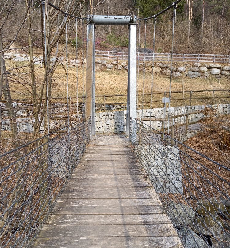 Ponte Che Balla景点图片