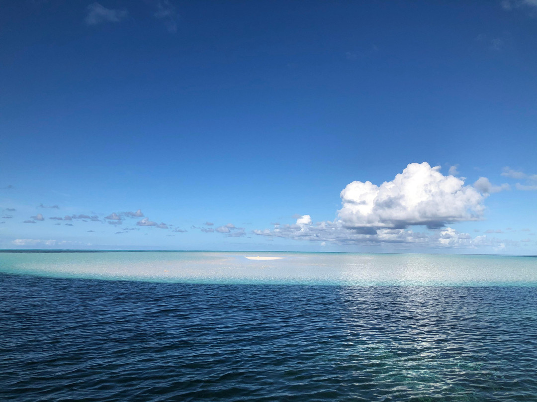 True Blue Charters | Spanish Wells Bahamas Guide景点图片