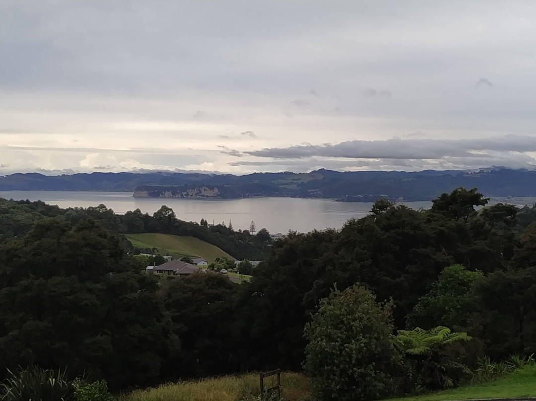 Within The Bays主图