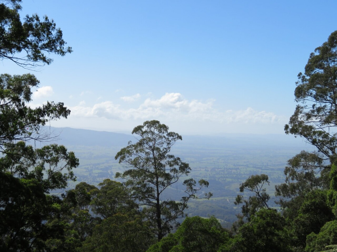 Fred Piper Memorial Lookout-Bemboka必去景点
