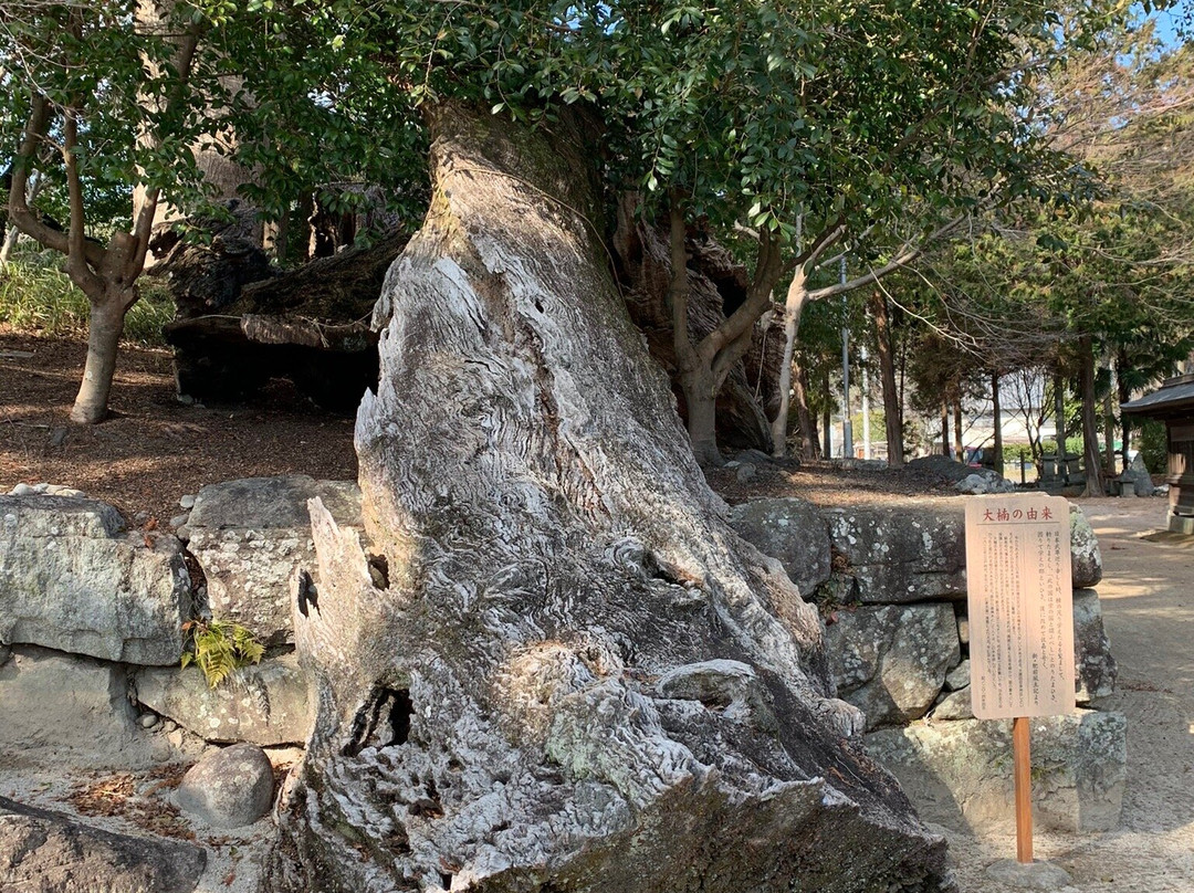 Yodohime Shrine-佐贺市必去景点
