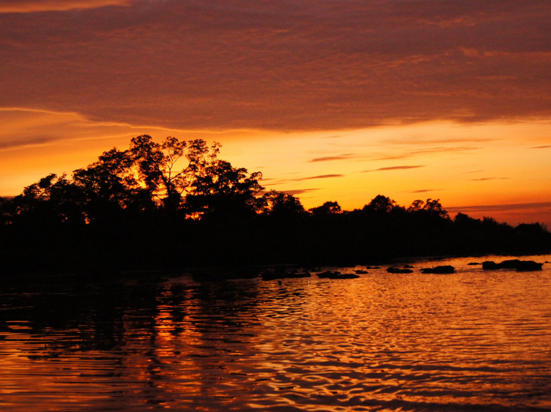 Klias River Cruise with Proboscis Monkey-哥打克里亚斯必去景点