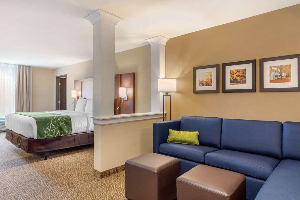 Comfort Inn & Suites Schenectady - Scotia主图