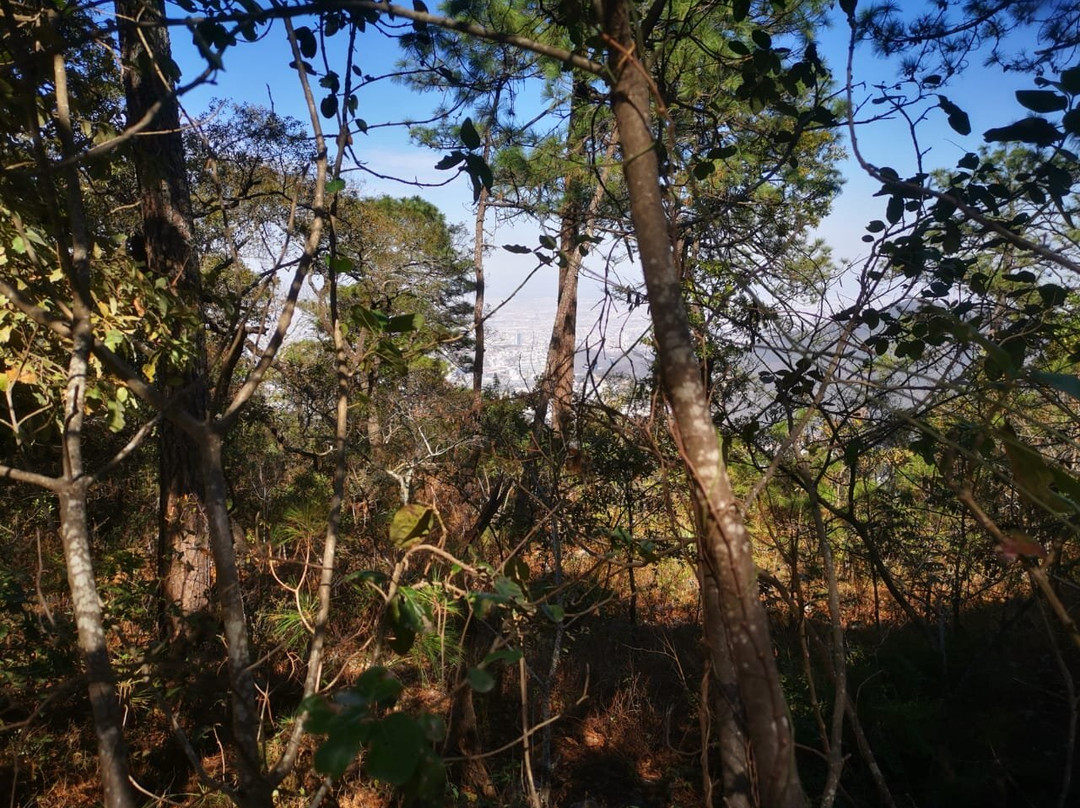 伊克罗杰克齐宾公园-圣佩德罗加尔萨加西亚镇必去景点