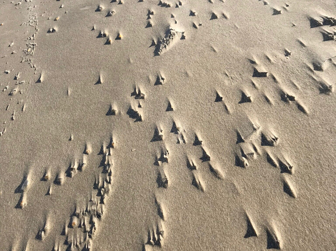 Grandview Nature Preserve-汉普顿必去景点