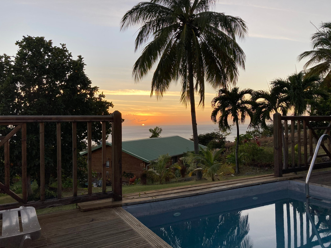 Paradis Tropical appart' hotel主图