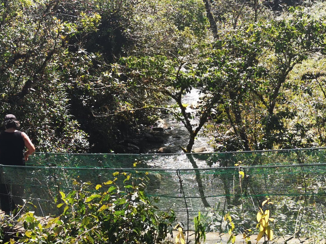 Catarata Tesoro Escondido景点图片