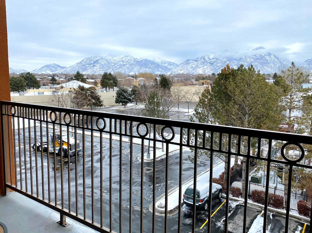 木棉树贝斯特韦斯特酒店主图