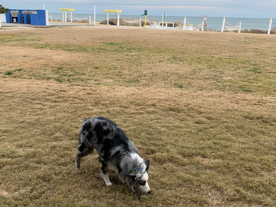 Seahawk Inn & Villas主图