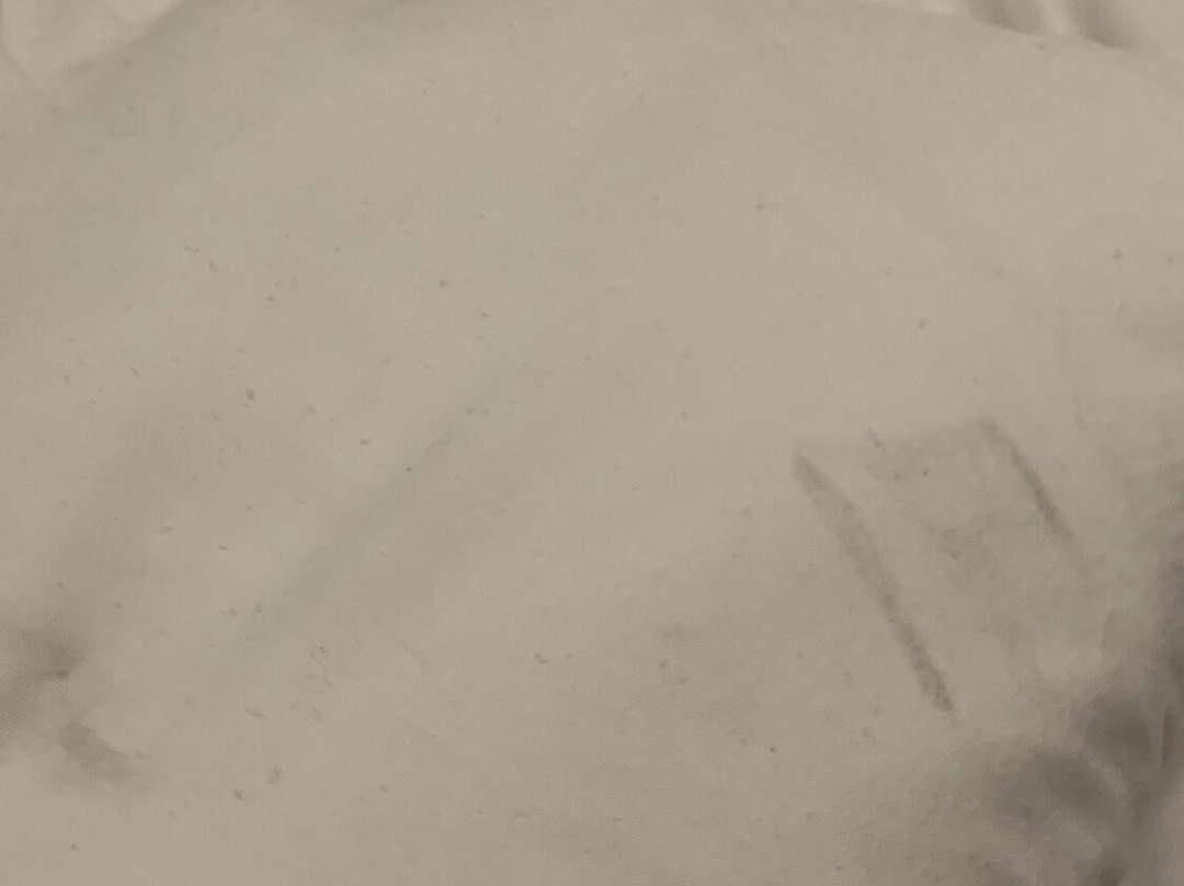 Ocean Spray Beach Apartments主图