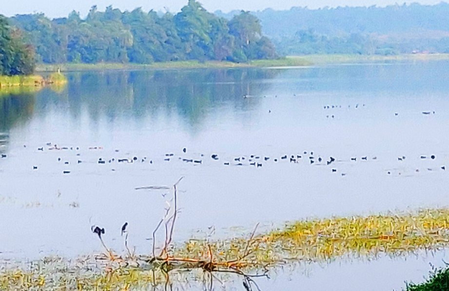 Gorewada Lake景点图片