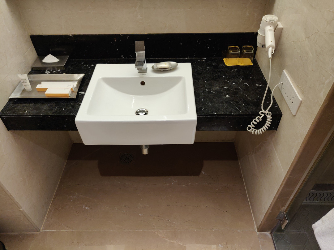 Marigold Hotel主图