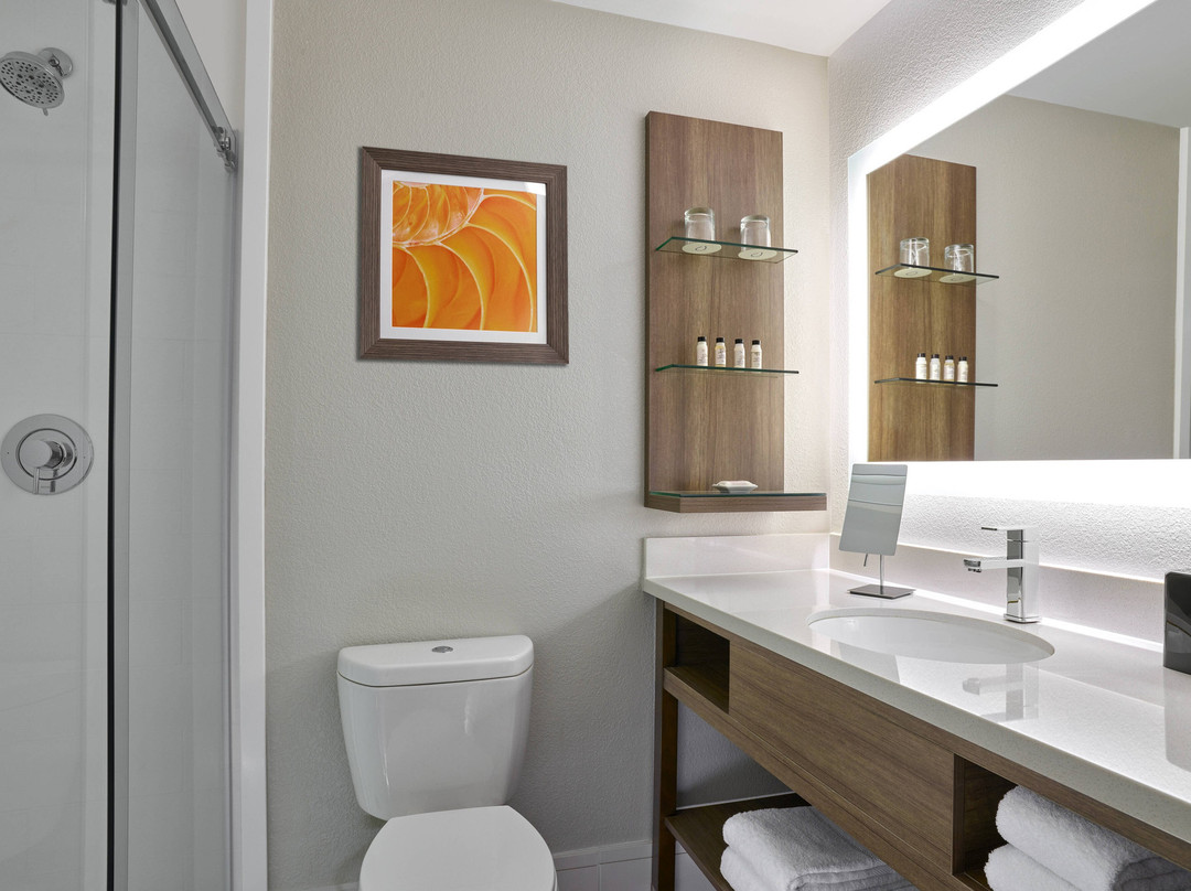 芝加哥威洛布鲁克欣斯代尔假日酒店主图