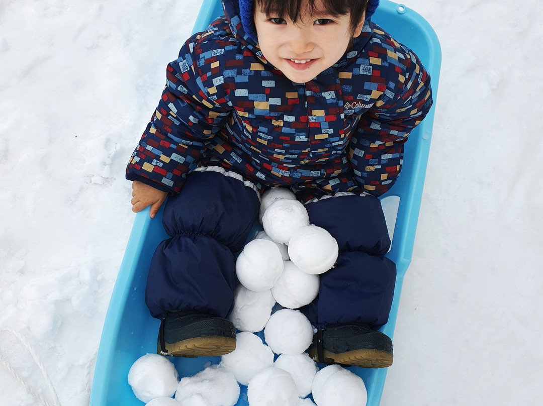 Niseko Kids Club-俱知安町必去景点