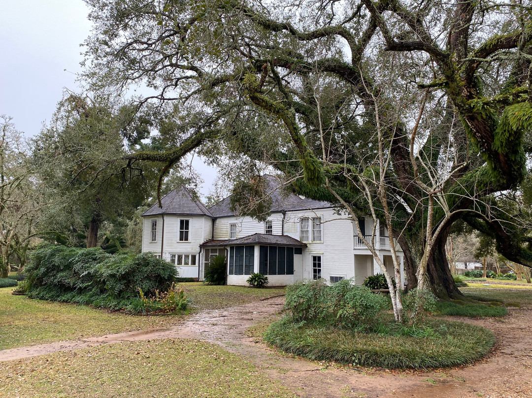 Melrose On The Cane (melrose Plantation)景点图片