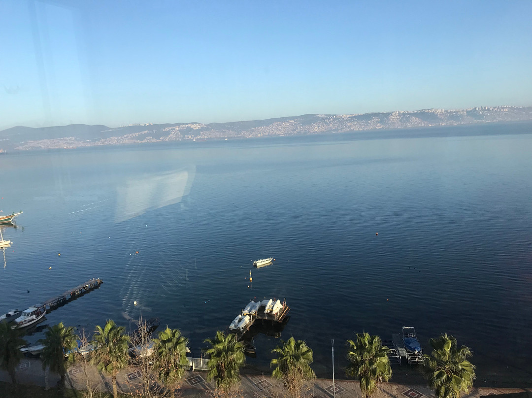 Wellborn Luxury Hotel主图