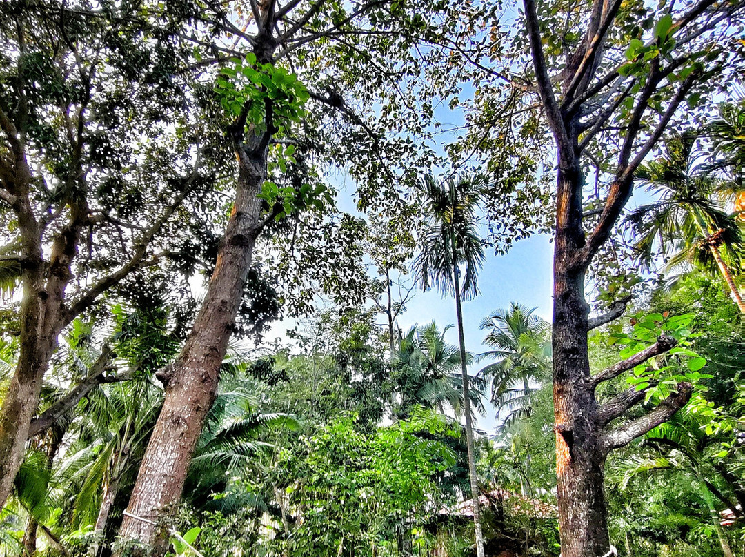 Atithi Parinay Homestay主图