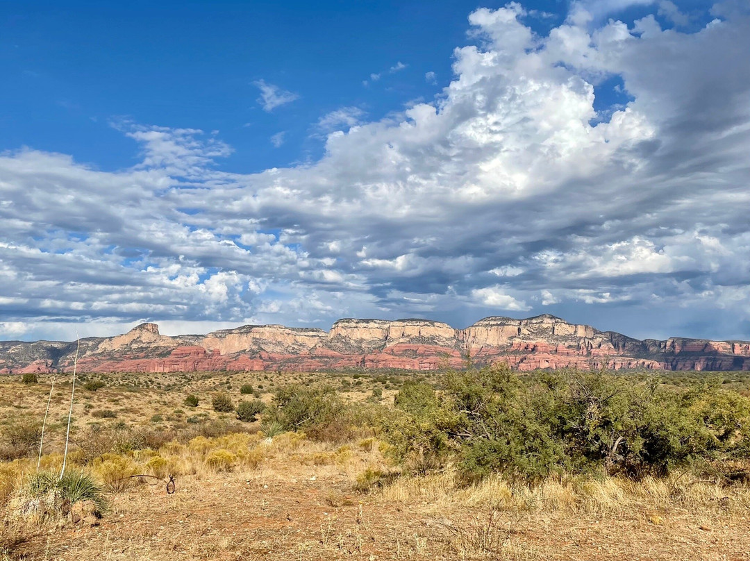 Arizona ATV Adventure Tours景点图片